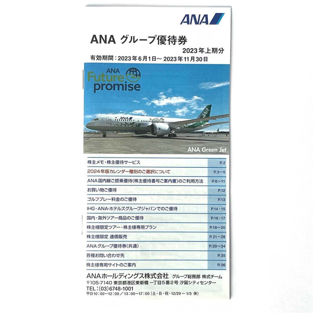 ANA(全日本空輸)(エーエヌエー(ゼンニッポンクウユ))の【ネコポス発送】ANA株主優待券2枚＋ANAグループ優待券 チケットの優待券/割引券(その他)の商品写真