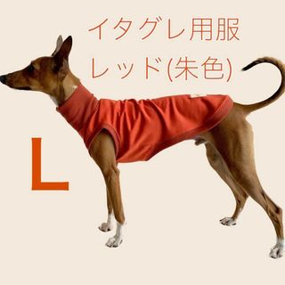 イタグレ服　タンクトップ　レッド　綿ニット ハンドメイド Lサイズ