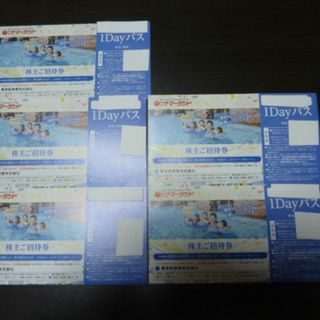 即日発送5枚 東京サマーランド 株主ご招待券 1DAYパス株主優待券 フリーパス(遊園地/テーマパーク)