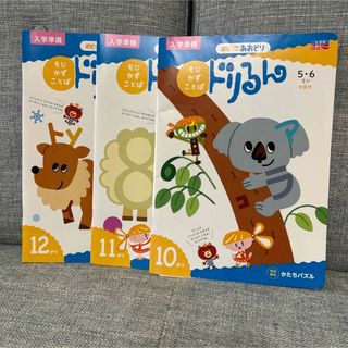 ⭐︎専用⭐︎未使用⭐︎【3冊セット】ポピー　ドリるん　5・6歳用(絵本/児童書)