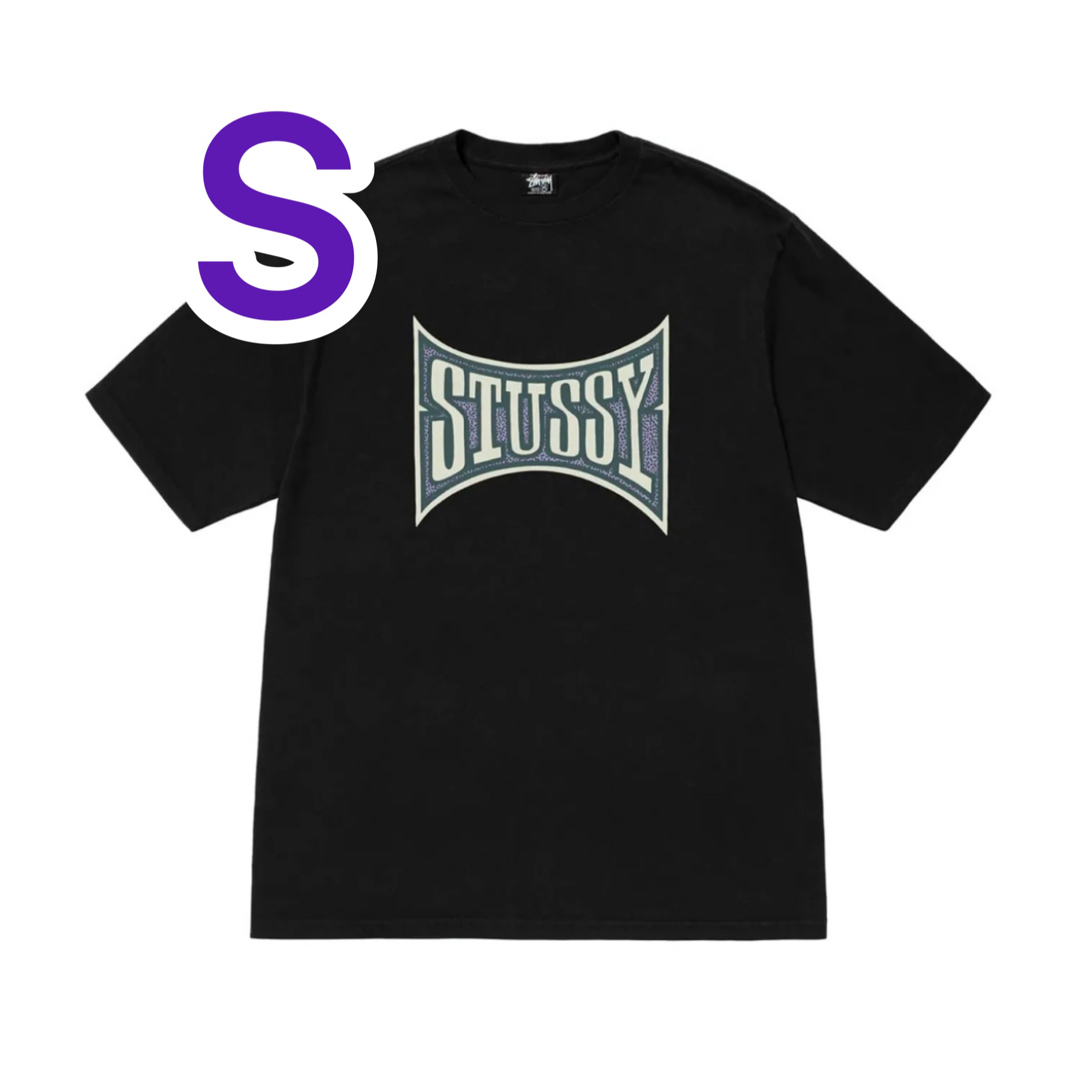 STUSSY CHAMPION PIGMENT DYED TEE ステューシー