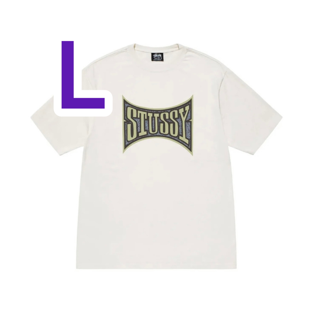 STUSSY CHAMPION PIGMENT DYED TEE ステューシー