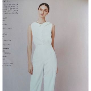 フォクシー(FOXEY) ブルー シャツ/ブラウス(レディース/半袖)の通販 30
