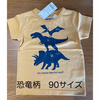 エニィファム(anyFAM)のanyFAM 恐竜柄Tシャツ　90(Tシャツ/カットソー)