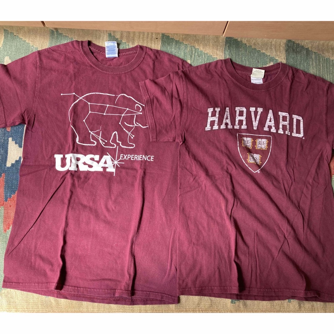 古着Tシャツ　S 8枚　U.S.A キッズサイズ160位 キッズ/ベビー/マタニティのキッズ服男の子用(90cm~)(Tシャツ/カットソー)の商品写真