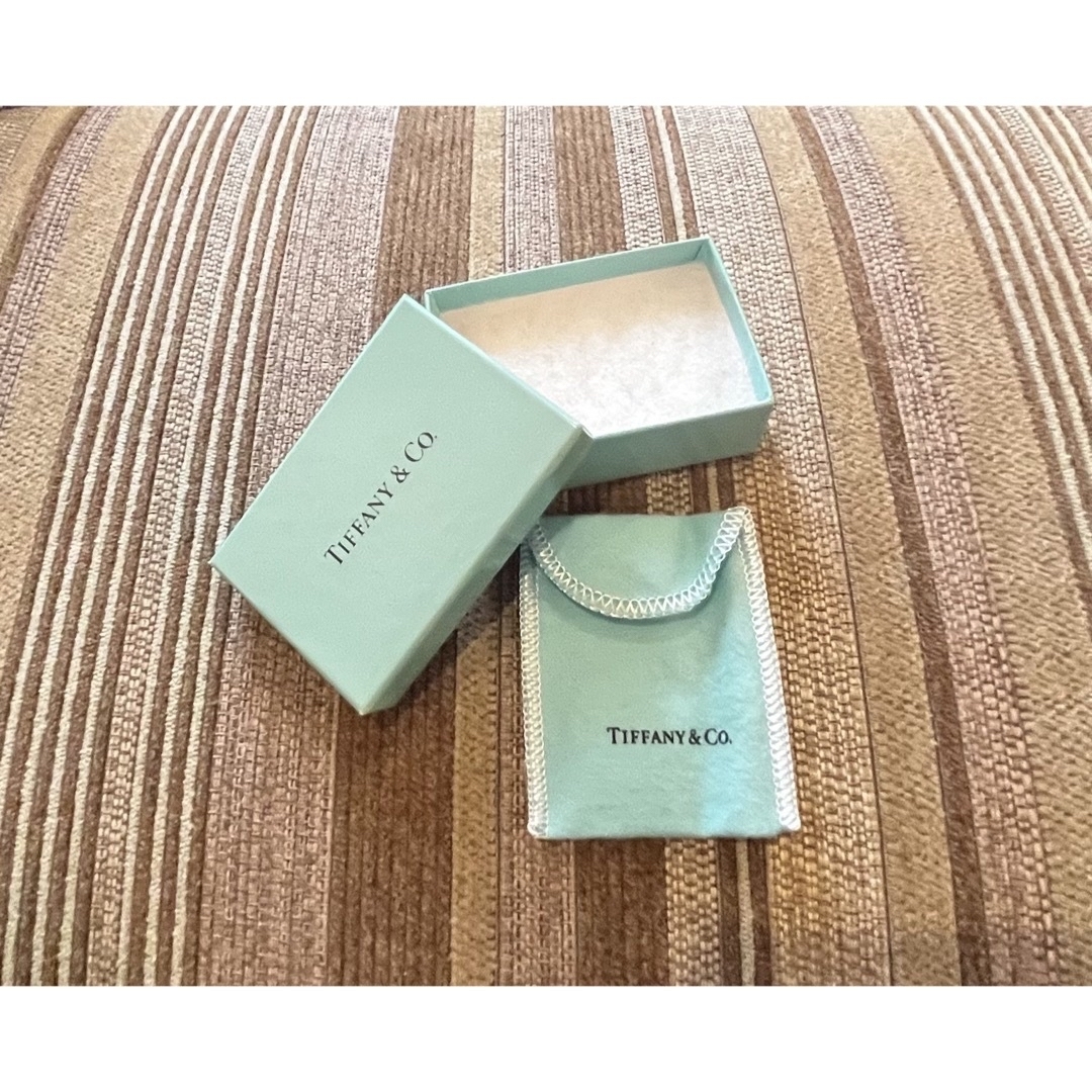 美品 TIFFANY\u0026Co ティファニー チタン オーバル ラージ キー トップ