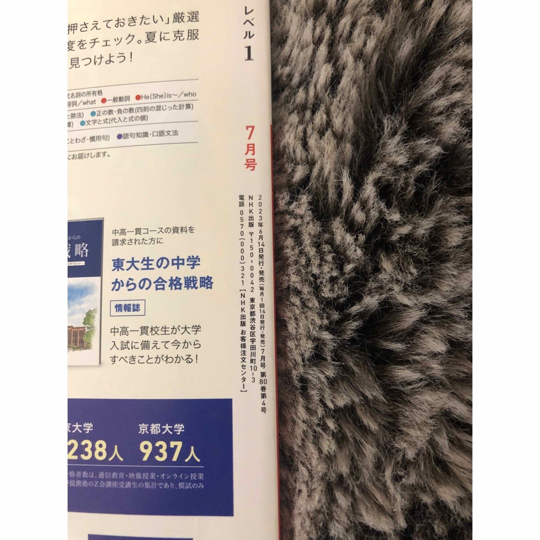  NHKラジオ 中学生の基礎英語レベル1 2023年 7月号 エンタメ/ホビーの本(語学/参考書)の商品写真