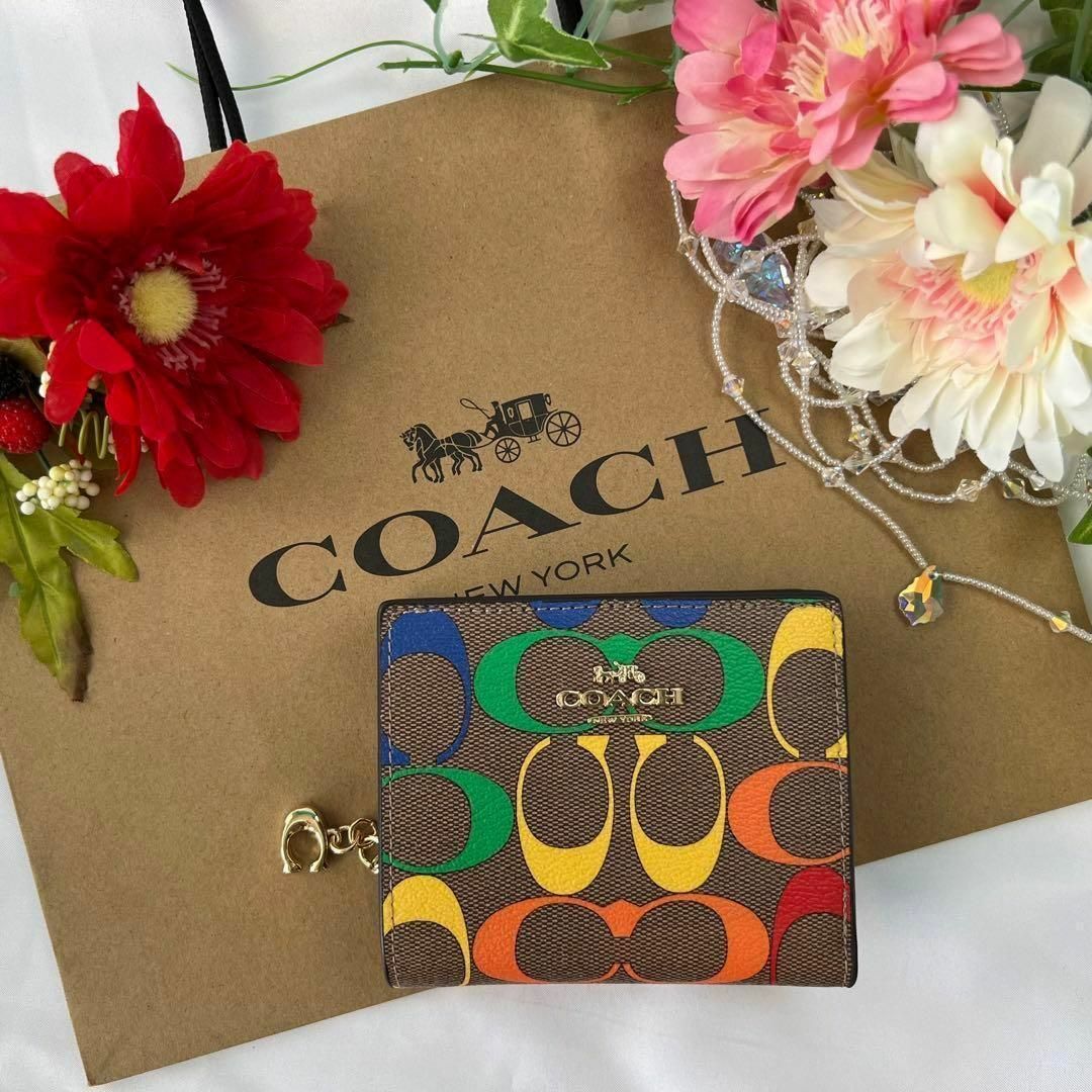 COACH コーチ　コインケース ブラウン　シグネチャー レインボー　パスケース