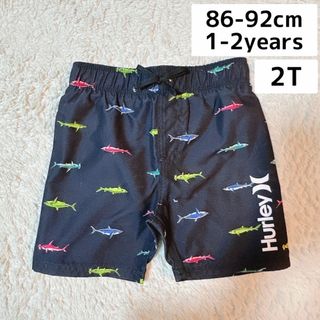 ハーレー(Hurley)の【新品】 Hurley　キッズサーフパンツ 水着 ブラック　サメ柄(水着)