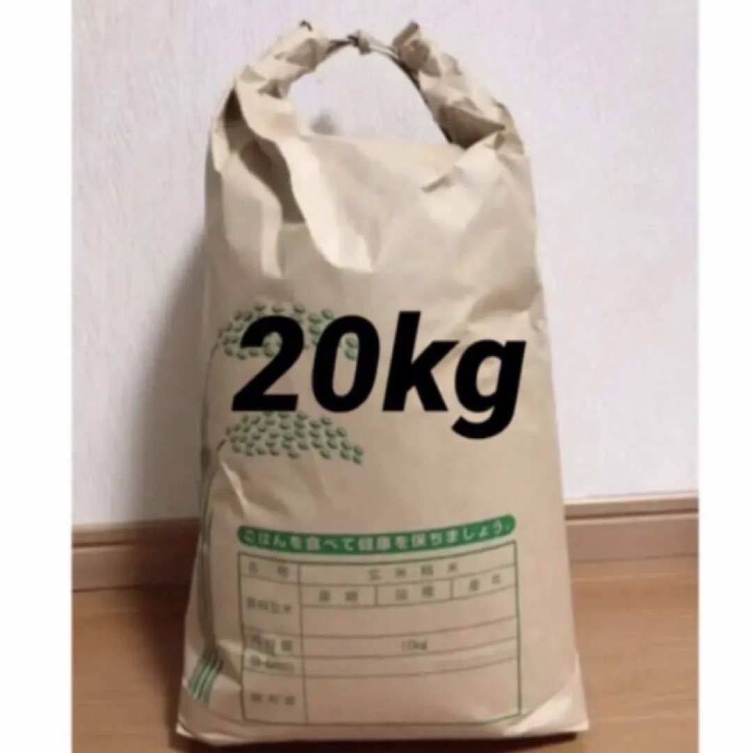 2022年産ヒノヒカリ玄米20 ｋｇ 【送料無料】小分け