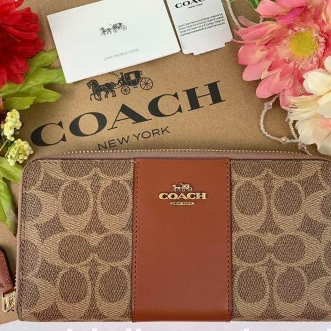 COACH  コーチ シグネチャー ブラウン ストライプ ピンク