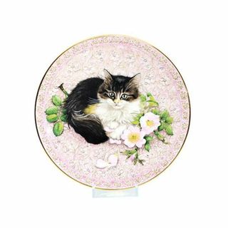 エインズレイ(Aynsley China)の エインズレイ キャットプレート 6月　Agneatha(置物)