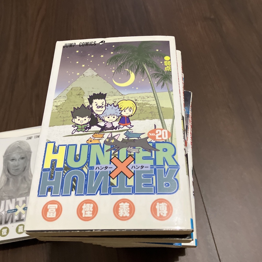 ＨＵＮＴＥＲ×ＨＵＮＴＥＲ ２０ エンタメ/ホビーの漫画(その他)の商品写真