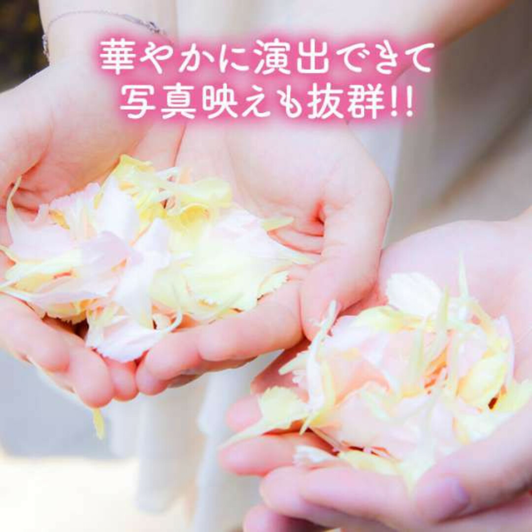 ○送料無料○ 4色セット フラワーシャワー 1000枚 花びら 造花 バラ ブライダル 結婚式