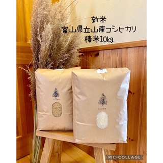 つかさ様専用ページ　　富山県立山産コシヒカリ　精米10kg(米/穀物)