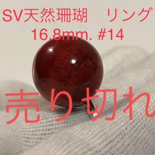 SV天然珊瑚　大珠リング　16.8mm. #14(リング(指輪))