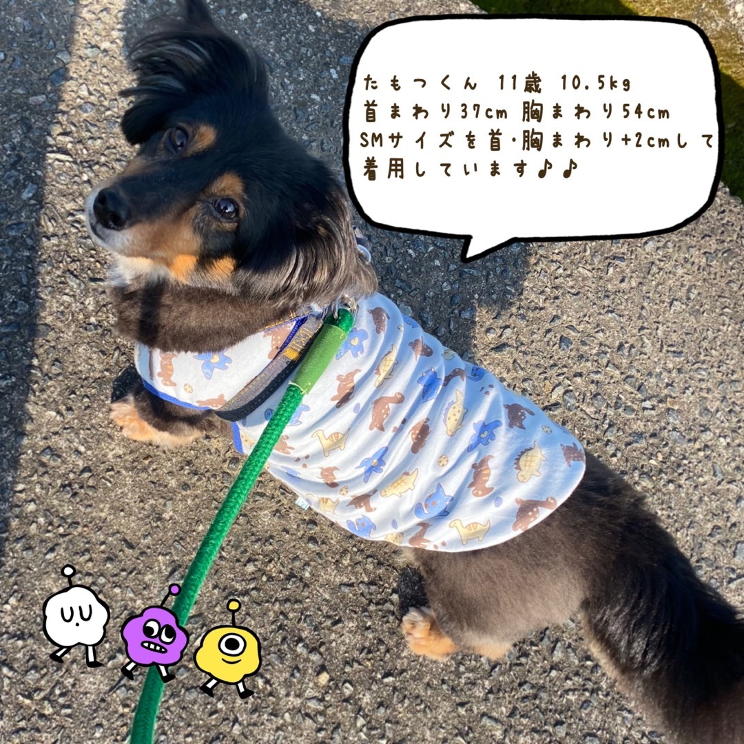 オーダー専用♡恐竜クッキー柄タンク ブルー ラメ入り XXS〜 犬服