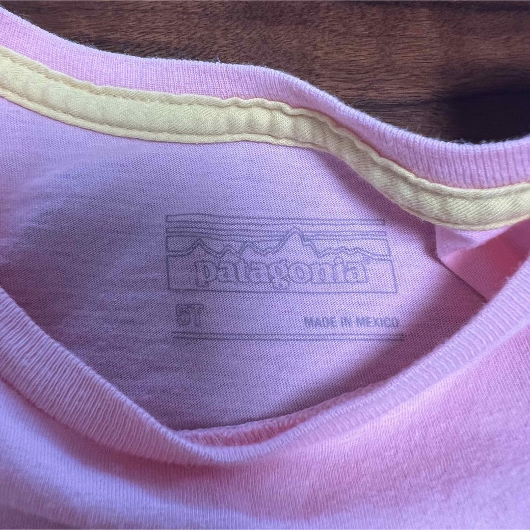 patagonia(パタゴニア)のパタゴニア✳︎キッズプリントTシャツ 5T キッズ/ベビー/マタニティのキッズ服女の子用(90cm~)(Tシャツ/カットソー)の商品写真