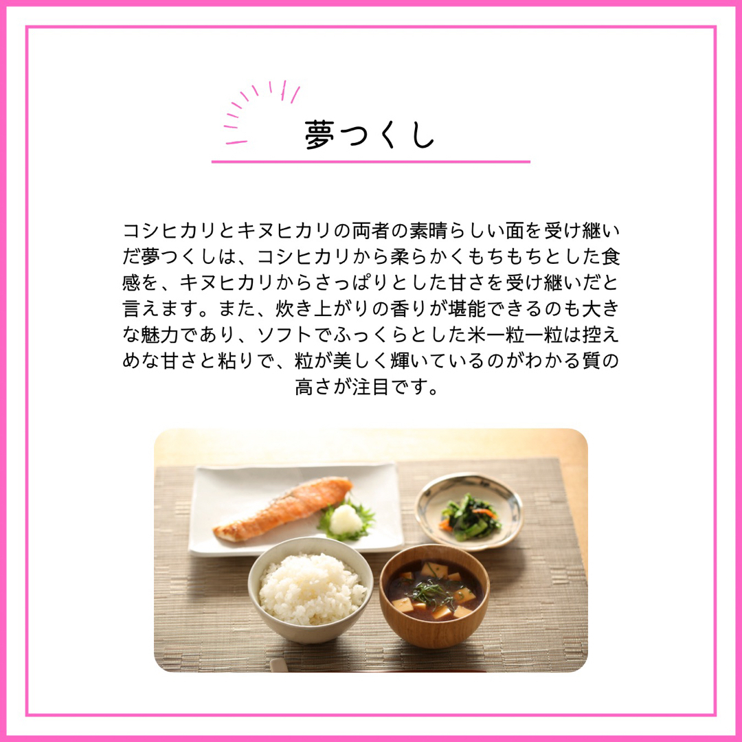 夢つくし 10kg 新米 厳選米 令和4年 福岡県産 お米 安い 白米 夢つくし 10kg 新米 厳選米 令和4年 福岡県産 お米 安い 白米