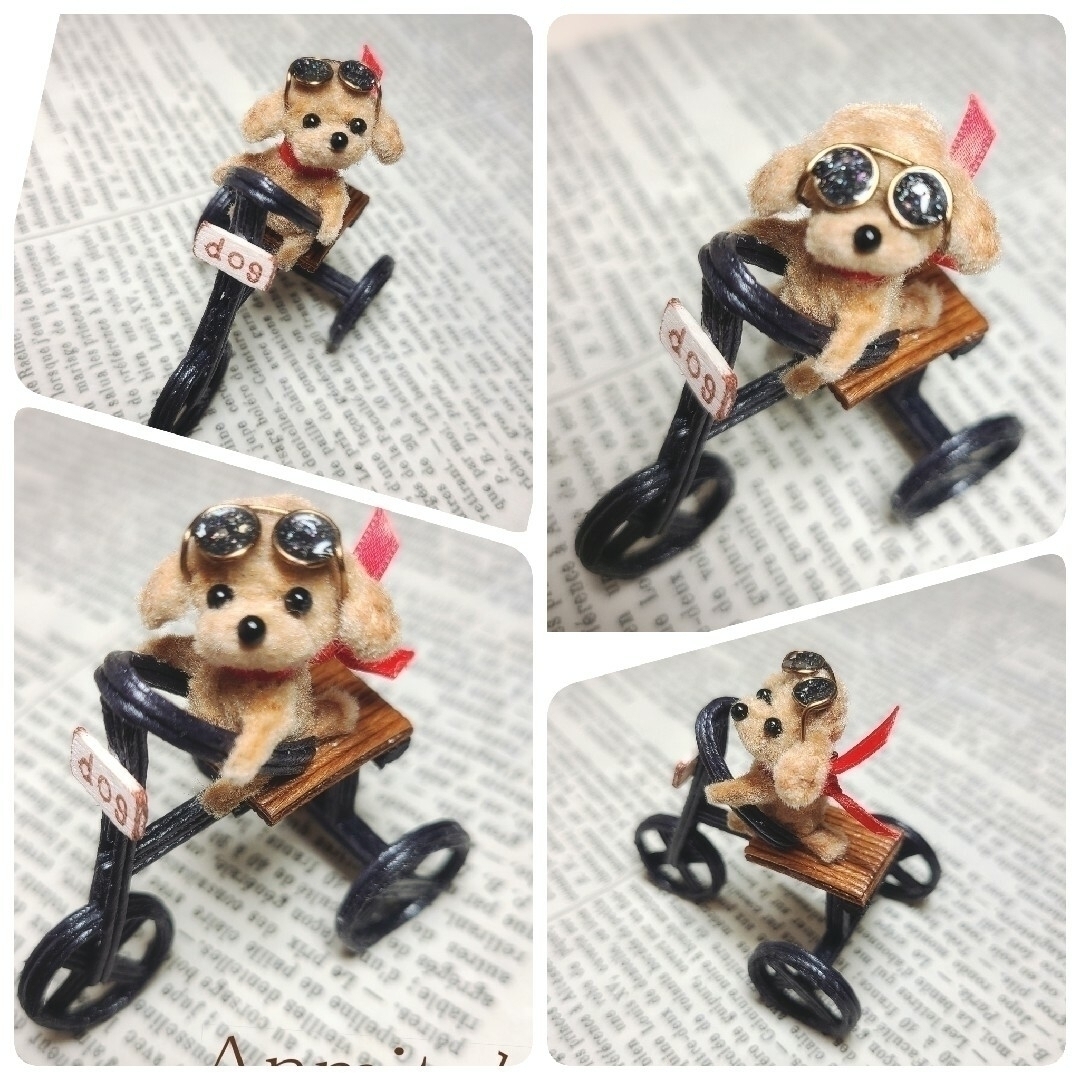 展示用　のってかない？三輪車で風をきるわんこ　トイプー　犬　いぬ ハンドメイドのペット(その他)の商品写真