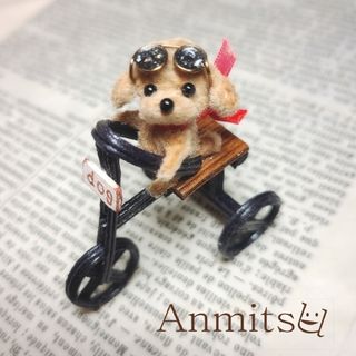 展示用　のってかない？三輪車で風をきるわんこ　トイプー　犬　いぬ(その他)