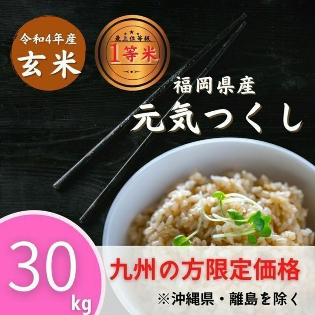 福岡県産《九州限定》元気つくし 玄米30kg 1等米 新米 厳選米 令和4年 お米