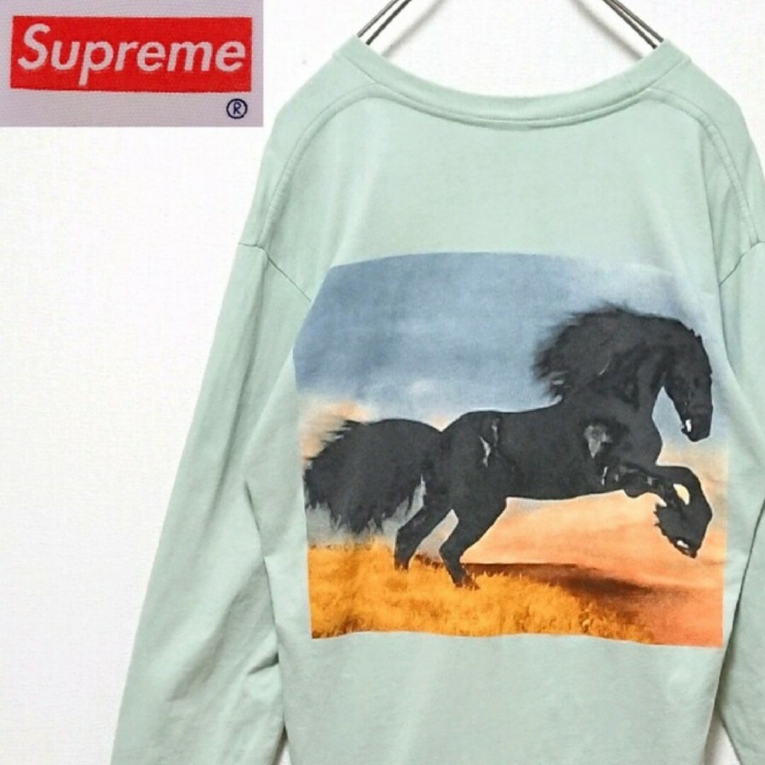 Supreme(シュプリーム)のシュプリーム 馬 ホース 両面 プリント ロゴ USA製 長袖 Tシャツ メンズのトップス(Tシャツ/カットソー(七分/長袖))の商品写真