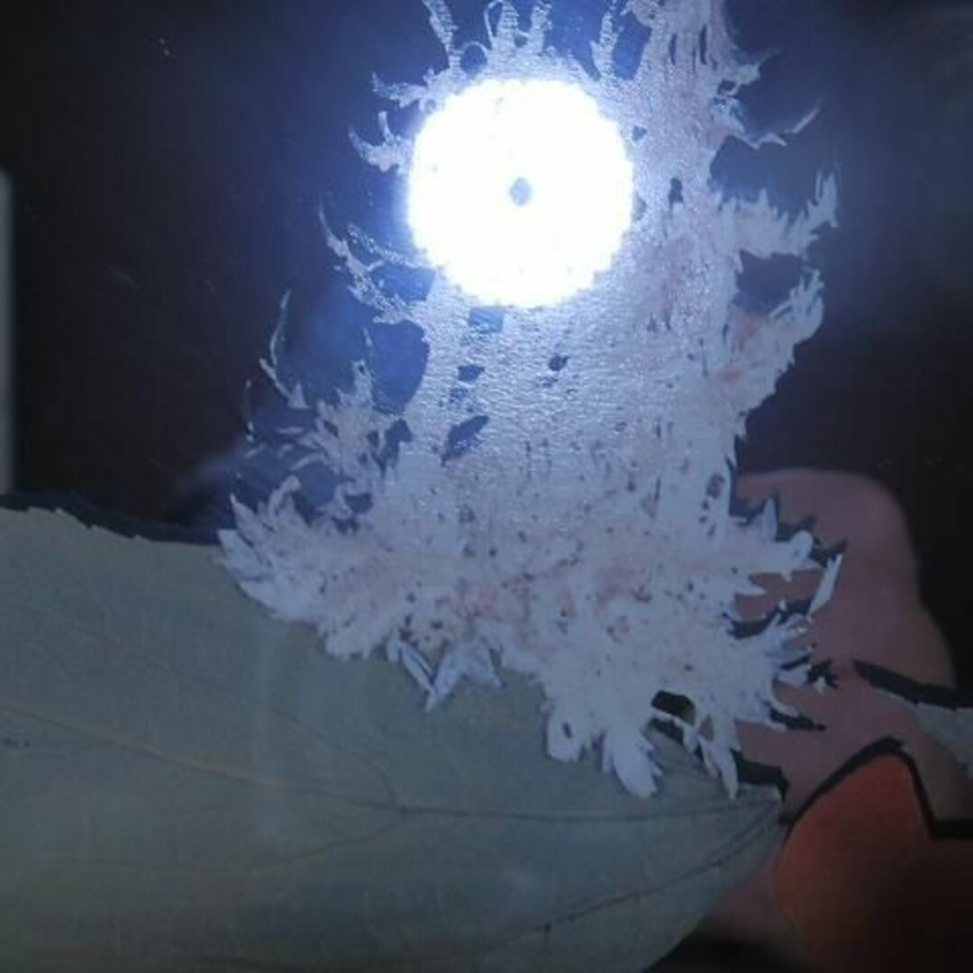 鏡の中ピエロ あなたがピエロならば鏡に映りません 60x45cm