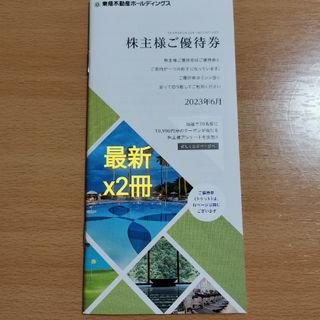 東急不動産HD 株主優待券 2冊(その他)