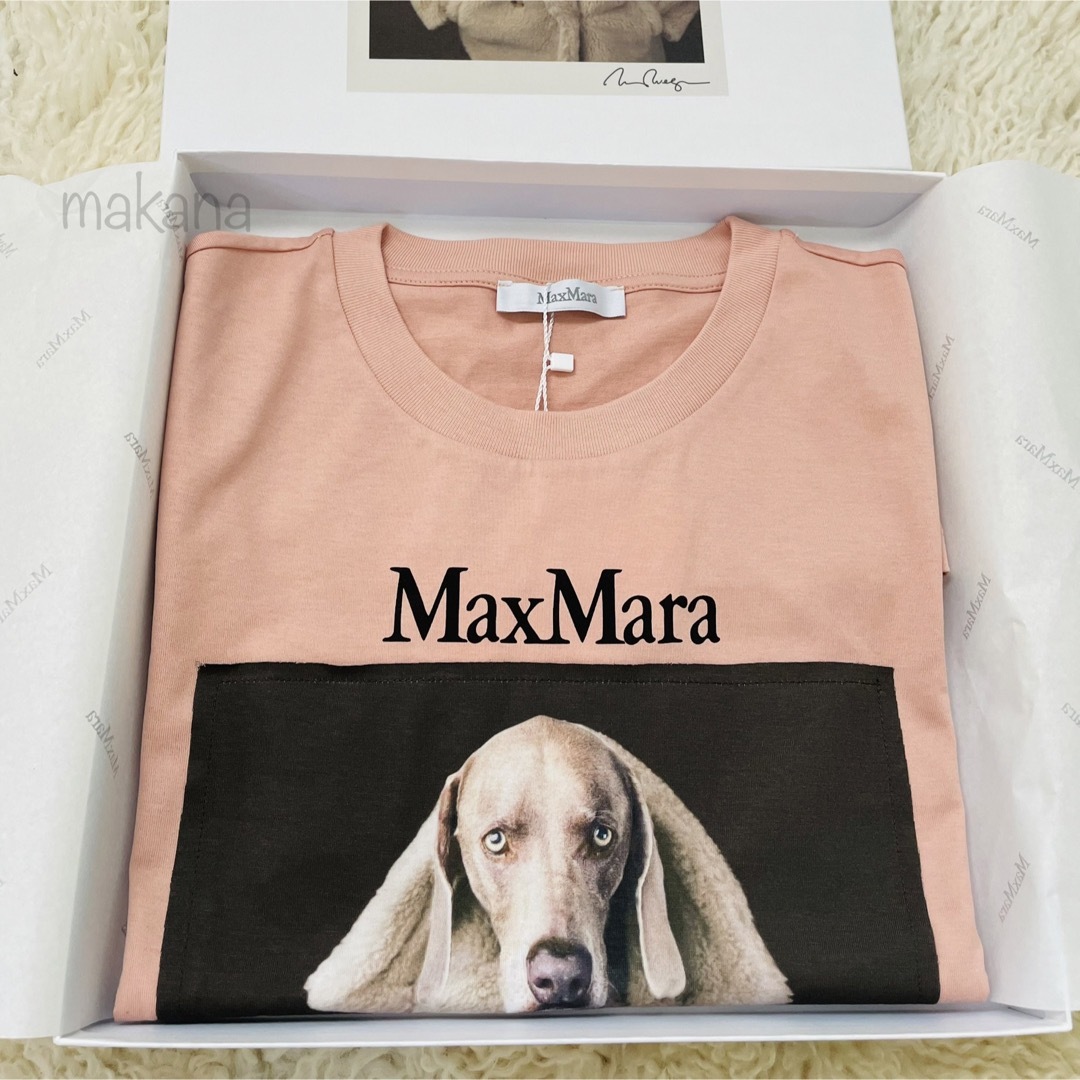 新品未使用】Max Maraドッグ プリント Tシャツ ピンク M - Tシャツ