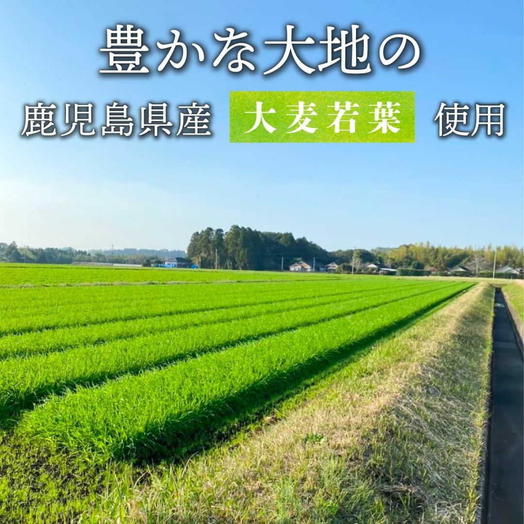 茶農家の作った青汁大麦若葉30包 しぜんのおかショップ