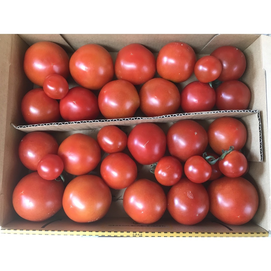 トマト2kg箱込　フルティカ　無農薬　徳島産 食品/飲料/酒の食品(野菜)の商品写真