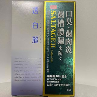 サンスター(SUNSTAR)の【happy様専用】薬用歯磨き　透白麗のみ(歯磨き粉)