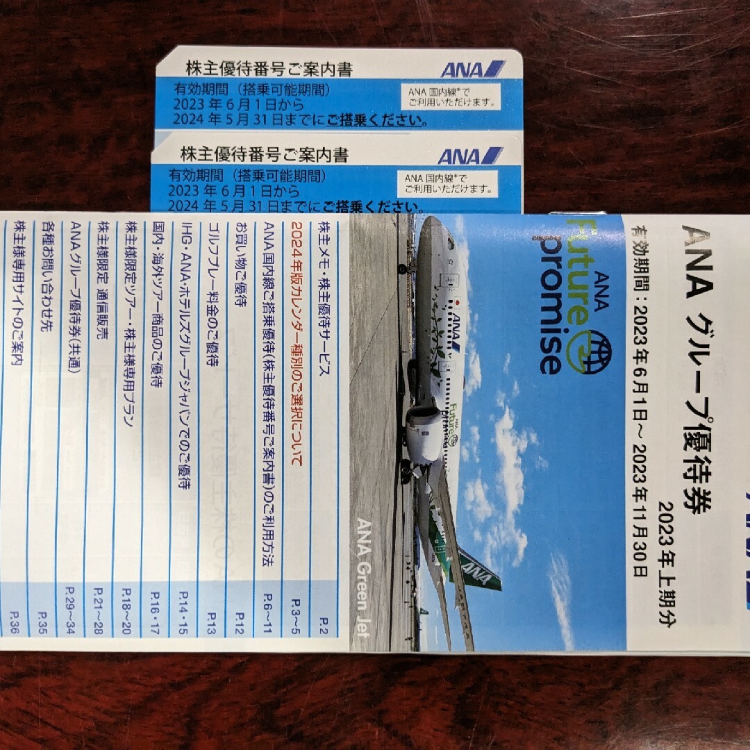 ANA(全日本空輸)(エーエヌエー(ゼンニッポンクウユ))のANAグループ優待券　2枚 チケットの乗車券/交通券(航空券)の商品写真