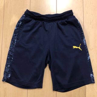 プーマ(PUMA)のPUMA キッズ150 ハーフパンツ(パンツ/スパッツ)