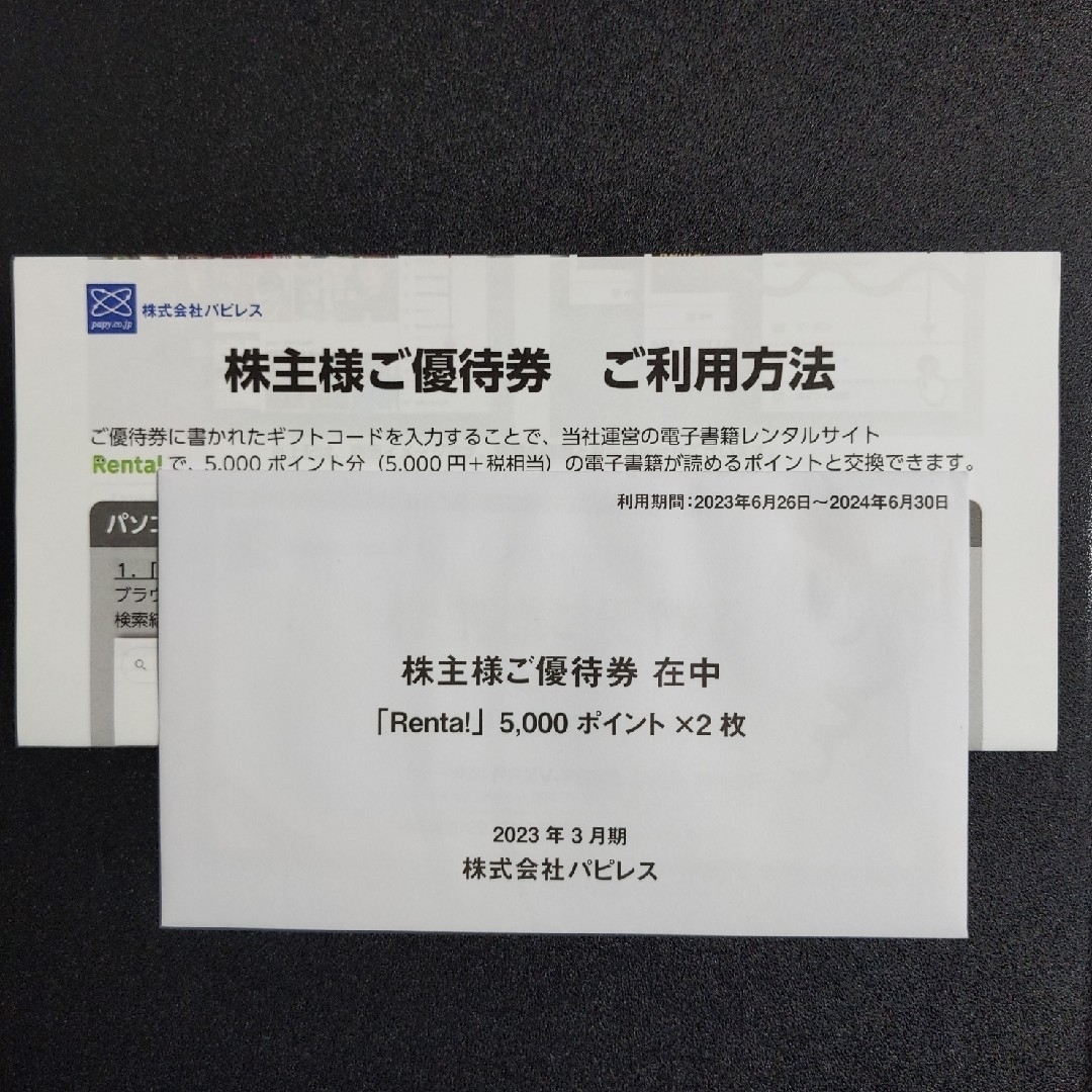 パピレス株主優待券 10000ポイント分 Renta！ - その他