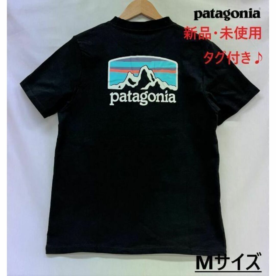 ★②パタゴニアM黒 アミ パリス Tシャツ 半袖 Mサイズ ロゴ 刺繍 黒