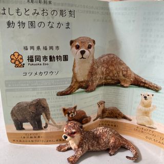 キタンクラブ(KITAN CLUB)の未使用新品　はしもとみお　コツメカワウソ　(その他)