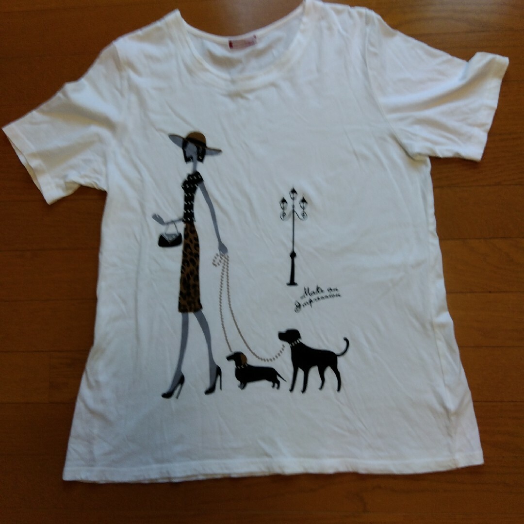 コットンＴシャツ　ＸＬ レディースのトップス(Tシャツ(半袖/袖なし))の商品写真