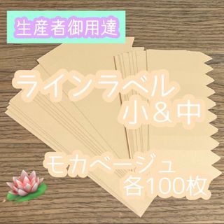 茶 セット 各100枚 園芸ラベル カラーラベル 多肉植物 エケベリア(その他)