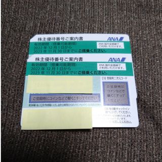 ANA株主優待券　2枚(航空券)