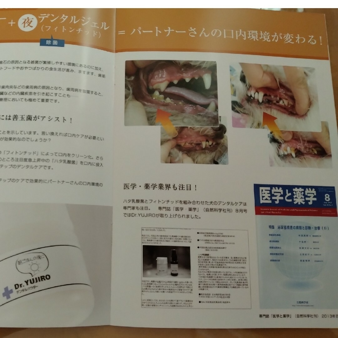 わんこの歯医者さん その他のペット用品(その他)の商品写真