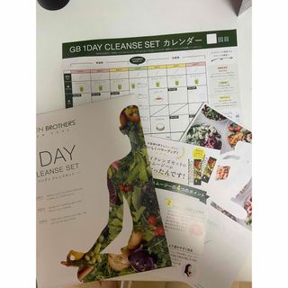 グリーンブラザーズ　1DAYクレンズ　1セット(ダイエット食品)