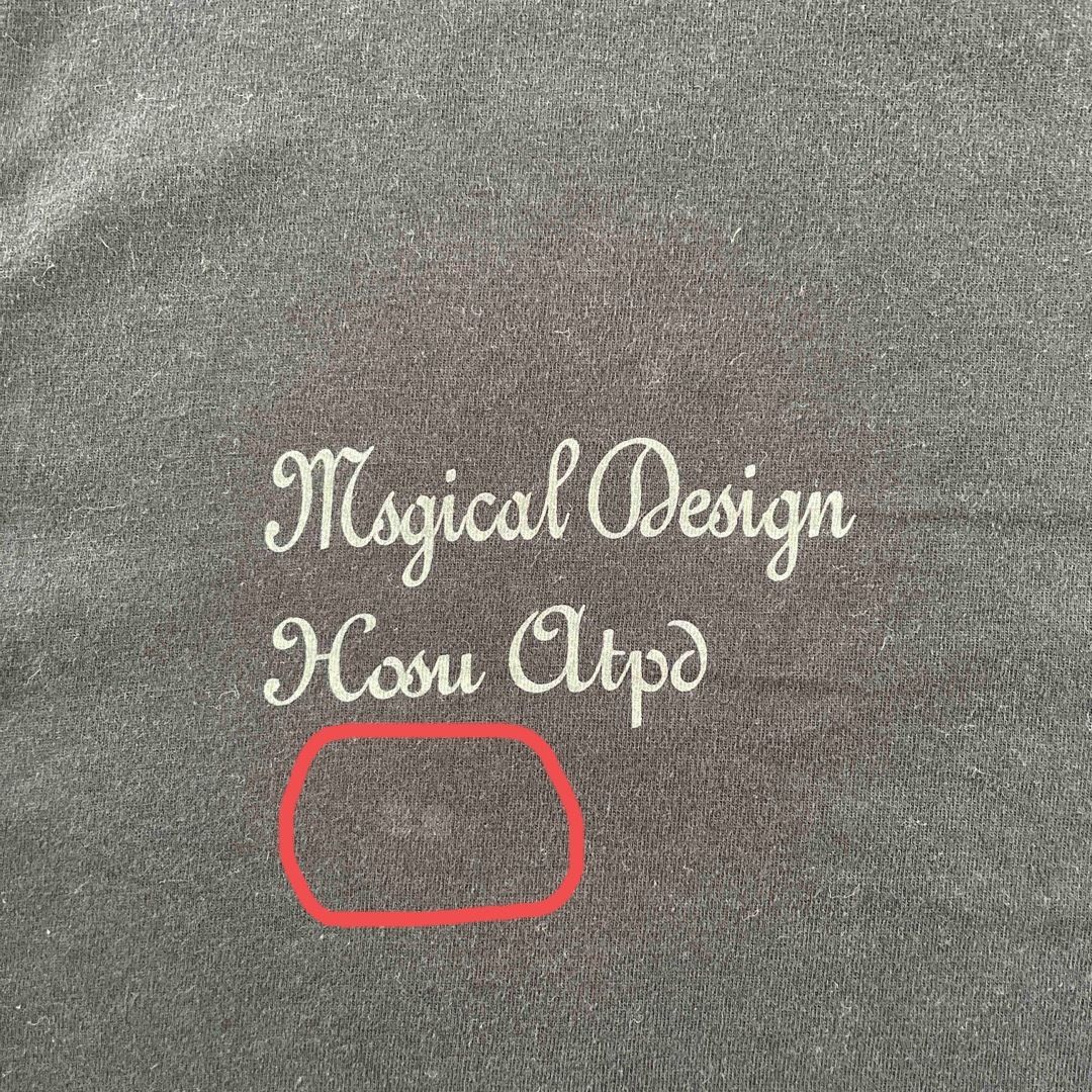 HOSU(ホス)のHOSU シュガーボーン　黒Tシャツ メンズのトップス(Tシャツ/カットソー(半袖/袖なし))の商品写真