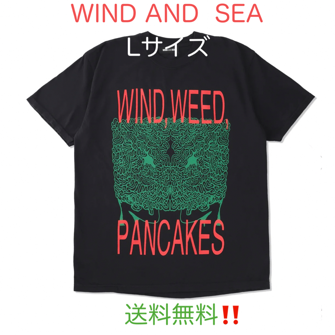 WIND AND  SEA PEN PUBLIC X WDS S/S TEE 3トップス