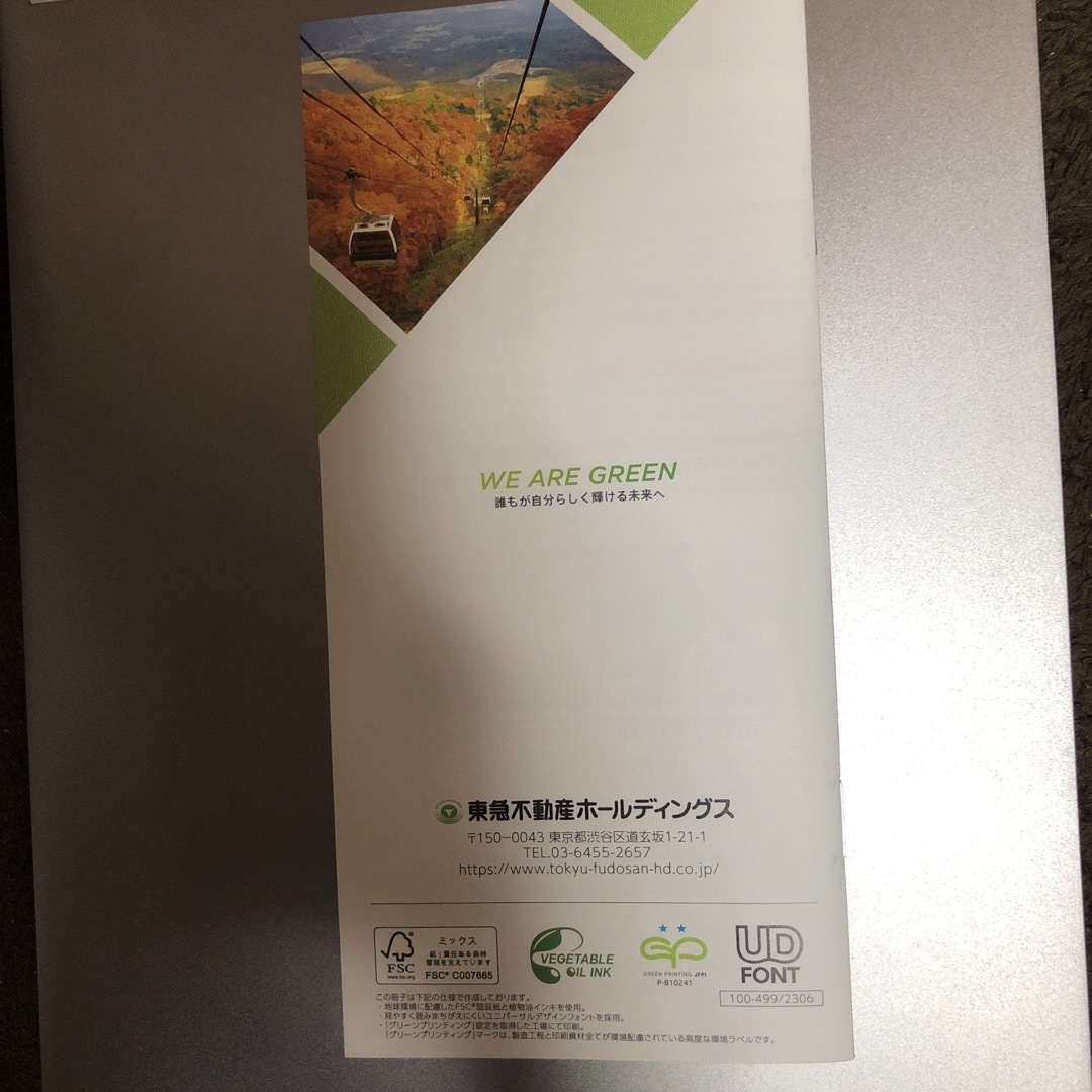  東急不動産ホールディングス 100株以上500株未満　優待券  チケットの優待券/割引券(その他)の商品写真