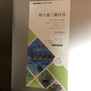  東急不動産ホールディングス 100株以上500株未満　優待券 (その他)