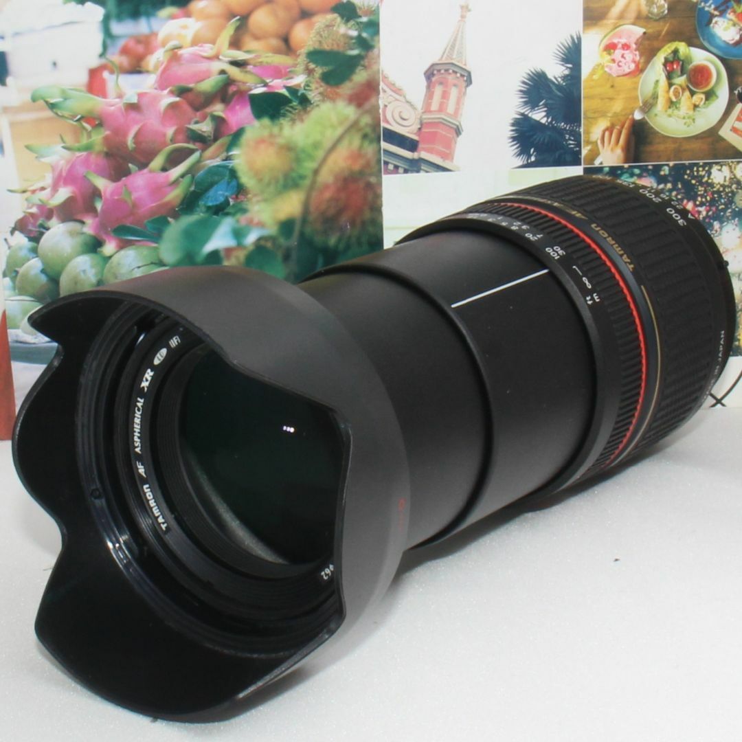 ⭐️【Nikon用】⭐️万能レンズ⭐️タムロン 28-300mm⭐️ | kensysgas.com