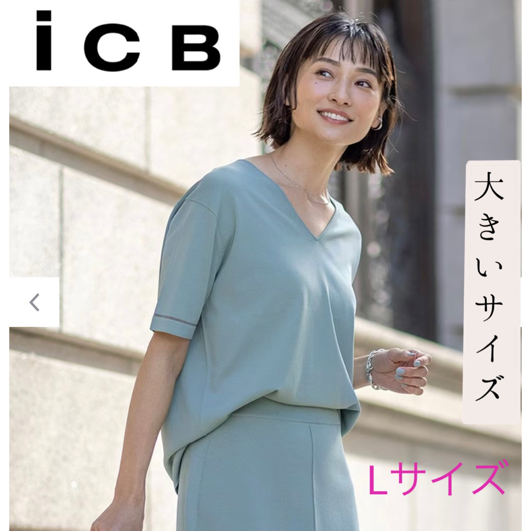 ICB  半袖　カットソー　大きいサイズ　L 送料込 レディースのトップス(カットソー(半袖/袖なし))の商品写真