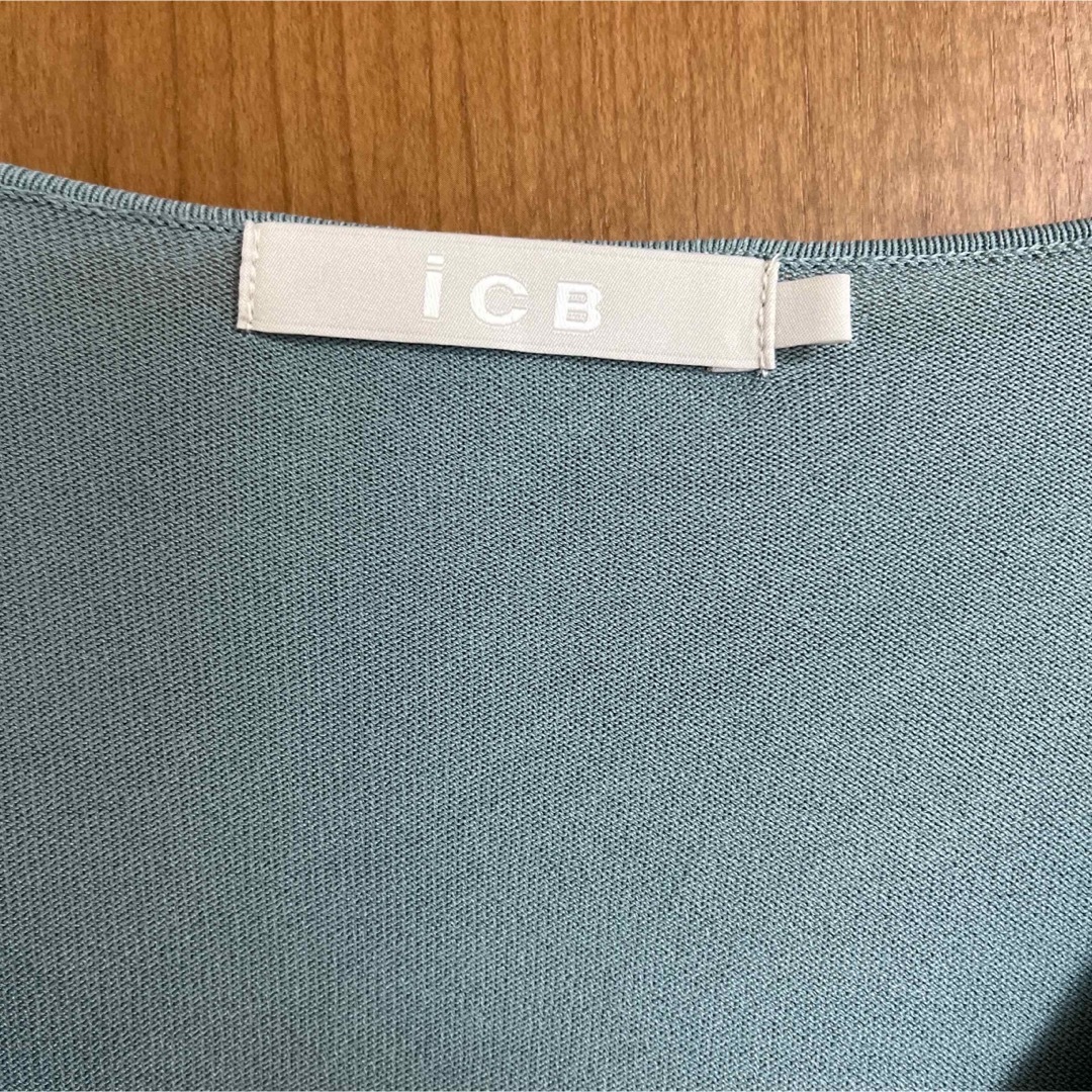 ICB  半袖　カットソー　大きいサイズ　L 送料込 レディースのトップス(カットソー(半袖/袖なし))の商品写真